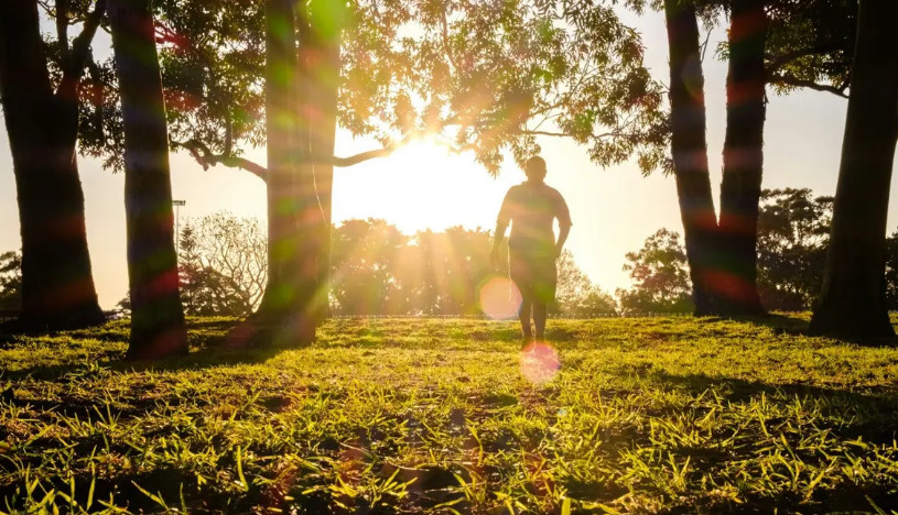 Total Ubah Theme Blog