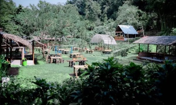 Menemukan Harmoni dalam Kekacauan: Seni Hidup Rimbun 1 Menemukan Harmoni dalam Kekacauan